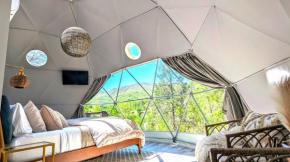 Natures Dome @SmokyMountain